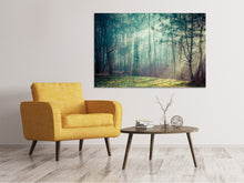 Load image into Gallery viewer, Canvas print Pinewood
