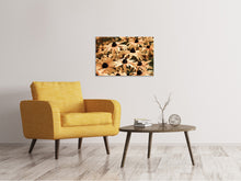 Load image into Gallery viewer, Canvas print Daisies In Sepia
