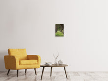 Load image into Gallery viewer, Canvas print In The Forest
