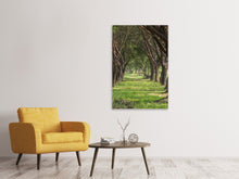 Load image into Gallery viewer, Canvas print In The Forest
