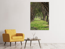 Load image into Gallery viewer, Canvas print In The Forest
