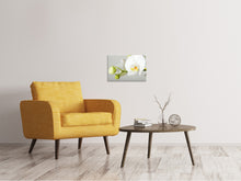 Load image into Gallery viewer, Canvas print Giant Orchid
