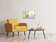 Load image into Gallery viewer, Canvas print Giant Orchid
