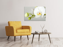 Load image into Gallery viewer, Canvas print Giant Orchid
