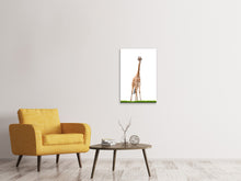 Load image into Gallery viewer, Canvas print The Long Giraffe
