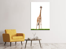 Load image into Gallery viewer, Canvas print The Long Giraffe
