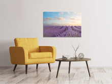 Load image into Gallery viewer, Canvas print The Blooming Lavender Field
