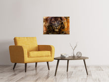Load image into Gallery viewer, Canvas print Portrait Of A Lion
