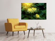 Load image into Gallery viewer, Canvas print Wild Lotus

