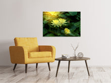 Load image into Gallery viewer, Canvas print Wild Lotus
