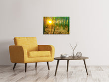 Load image into Gallery viewer, Canvas print Bamboos
