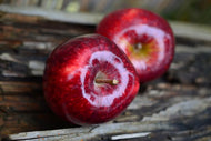 Photo Wallpaper 2 apples