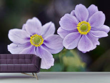 Load image into Gallery viewer, Photo Wallpaper 2 flowers

