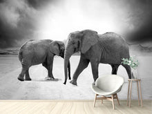 Load image into Gallery viewer, Photo Wallpaper 2 elephants sw
