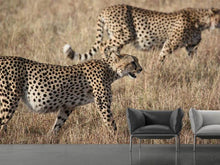 Load image into Gallery viewer, Photo Wallpaper 2 leopards
