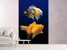 Load image into Gallery viewer, Photo Wallpaper 2 funny fish
