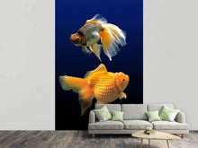 Load image into Gallery viewer, Photo Wallpaper 2 funny fish
