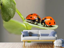 Load image into Gallery viewer, Photo Wallpaper 2 ladybirds
