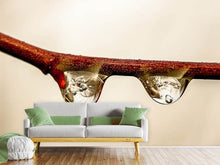 Load image into Gallery viewer, Photo Wallpaper 2 raindrops
