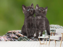 Load image into Gallery viewer, Photo Wallpaper 2 black cats babies
