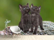 Load image into Gallery viewer, Photo Wallpaper 2 black cats babies
