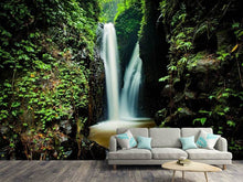 Load image into Gallery viewer, Photo Wallpaper 2 waterfalls
