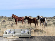 Load image into Gallery viewer, Photo Wallpaper 3 horses in nature
