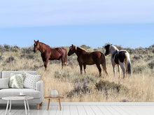 Load image into Gallery viewer, Photo Wallpaper 3 horses in nature
