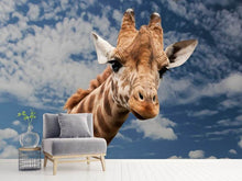 Load image into Gallery viewer, Photo Wallpaper Attention giraffe!
