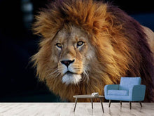 Load image into Gallery viewer, Photo Wallpaper Attention lion
