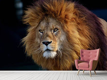 Load image into Gallery viewer, Photo Wallpaper Attention lion
