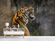 Load image into Gallery viewer, Photo Wallpaper Attention Tiger
