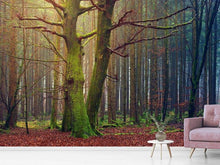 Load image into Gallery viewer, Photo Wallpaper Alone in the woods
