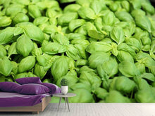 Load image into Gallery viewer, Photo Wallpaper All basil

