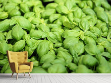 Load image into Gallery viewer, Photo Wallpaper All basil

