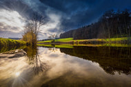 Photo Wallpaper At the edge of the forest