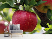 Load image into Gallery viewer, Photo Wallpaper Apple in XXL
