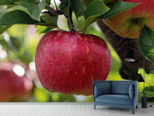 Load image into Gallery viewer, Photo Wallpaper Apple in XXL
