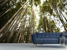 Load image into Gallery viewer, Photo Wallpaper Arashiyama Japan
