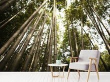 Load image into Gallery viewer, Photo Wallpaper Arashiyama Japan
