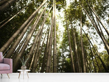 Load image into Gallery viewer, Photo Wallpaper Arashiyama Japan
