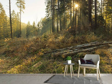 Load image into Gallery viewer, Photo Wallpaper Working in the woods
