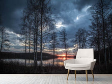 Load image into Gallery viewer, Photo Wallpaper Trees at the lake
