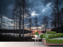 Load image into Gallery viewer, Photo Wallpaper Trees at the lake
