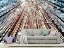 Load image into Gallery viewer, Photo Wallpaper Trees in the snow
