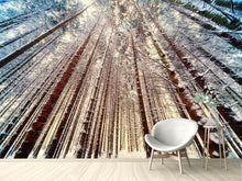 Load image into Gallery viewer, Photo Wallpaper Trees in the snow
