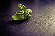 Load image into Gallery viewer, Photo Wallpaper Basil leaves
