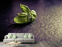 Load image into Gallery viewer, Photo Wallpaper Basil leaves
