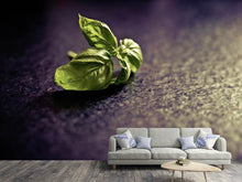 Load image into Gallery viewer, Photo Wallpaper Basil leaves
