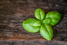 Load image into Gallery viewer, Photo Wallpaper Basil leaf in XXL
